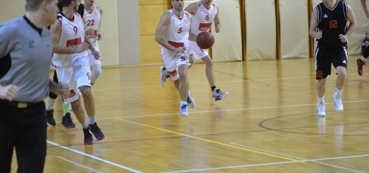 Adecco - Vikingi