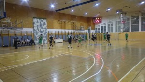 Gora_-_Dornava_5